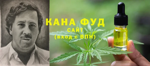 дурь Сатка