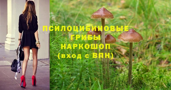 ALPHA-PVP Аркадак