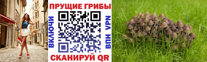 Галлюциногенные грибы GOLDEN TEACHER  МЕГА вход  Ивдель 
